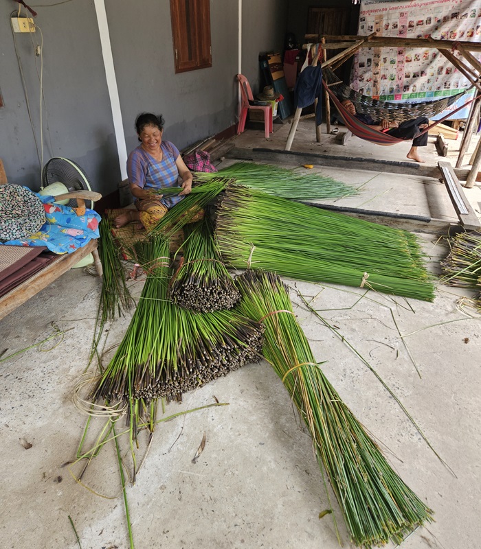 Vannerie thaïlandaise en roseau – artisanes de Ban Phaeng, Maha Sarakham