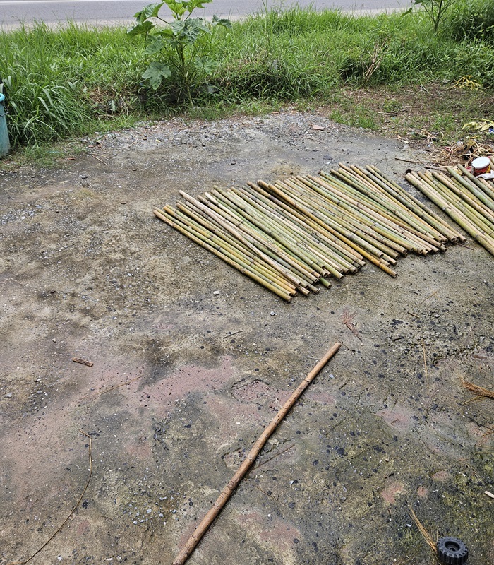 Bua Lang – Balais traditionnels