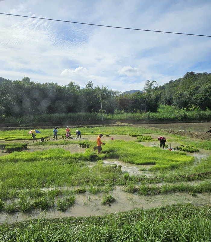 L’Isan, terre de traditions